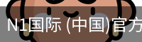 N1国际